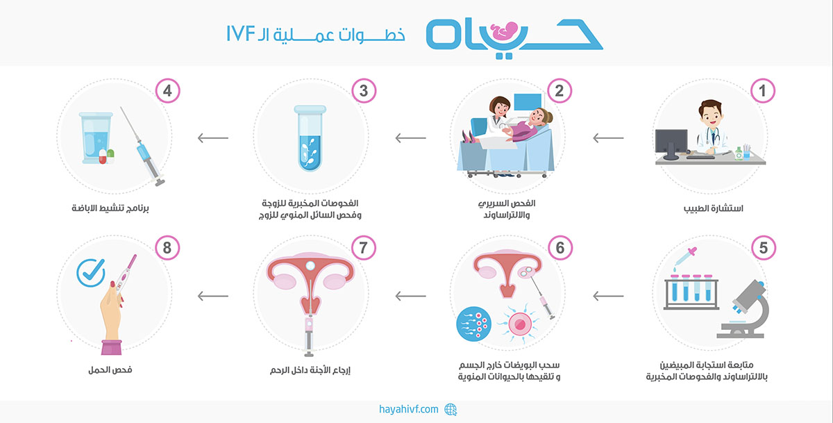 IVF journey step preview